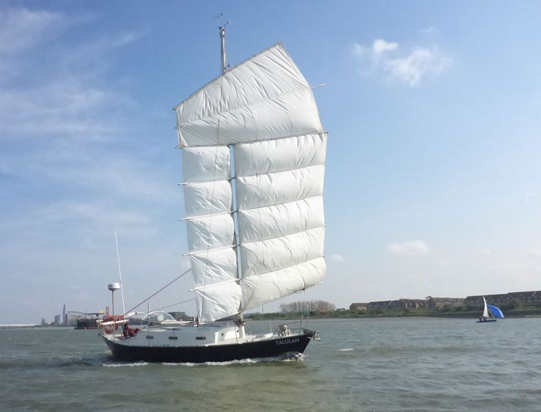 File:cruiser-tallulah.jpg